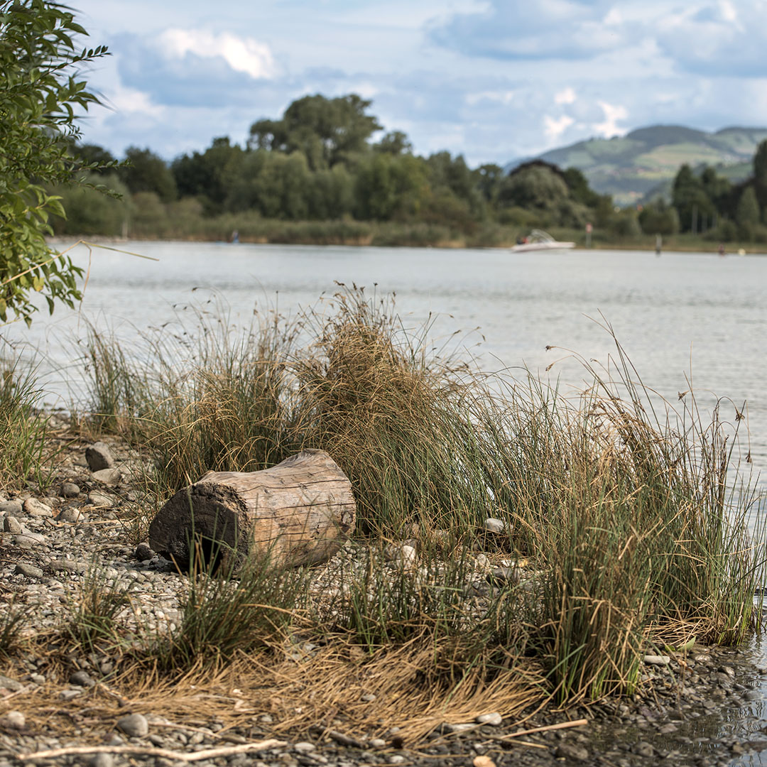 Was bewirkt Supervision?