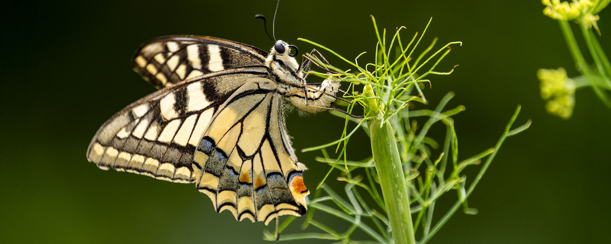 Antworten kommen ganzheitlich