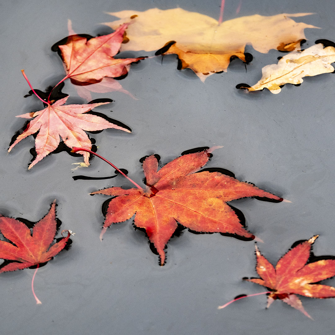 Sag Ja zum Nein sagen